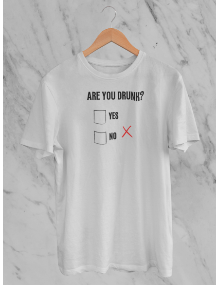 Are you drunk - Tričko pánské - ash XXL