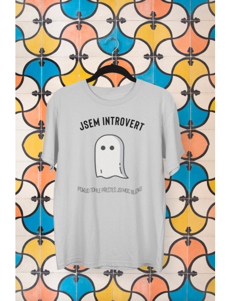 Jsem introvert - Dámské tričko - Světle šedá XXL